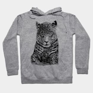 Jaguar - Light Bases Hoodie